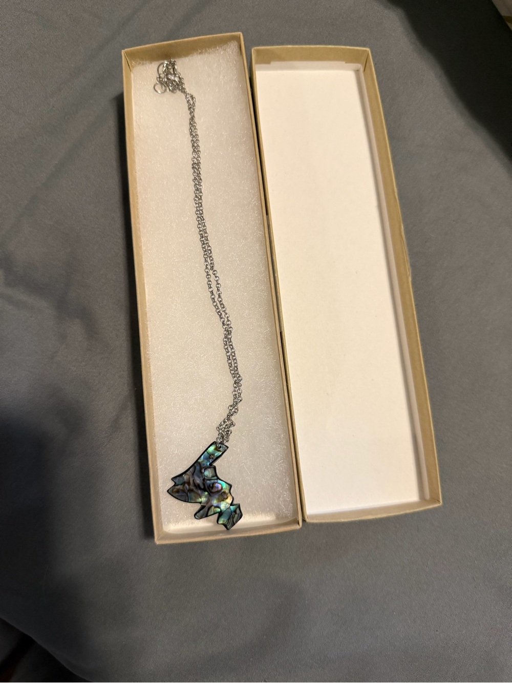 Abalone Shell Newfoundland Pendant Necklace - Silver Chain